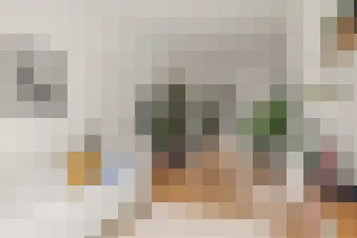 Bolksbeekstraat 8 Utrecht thumbnail 9