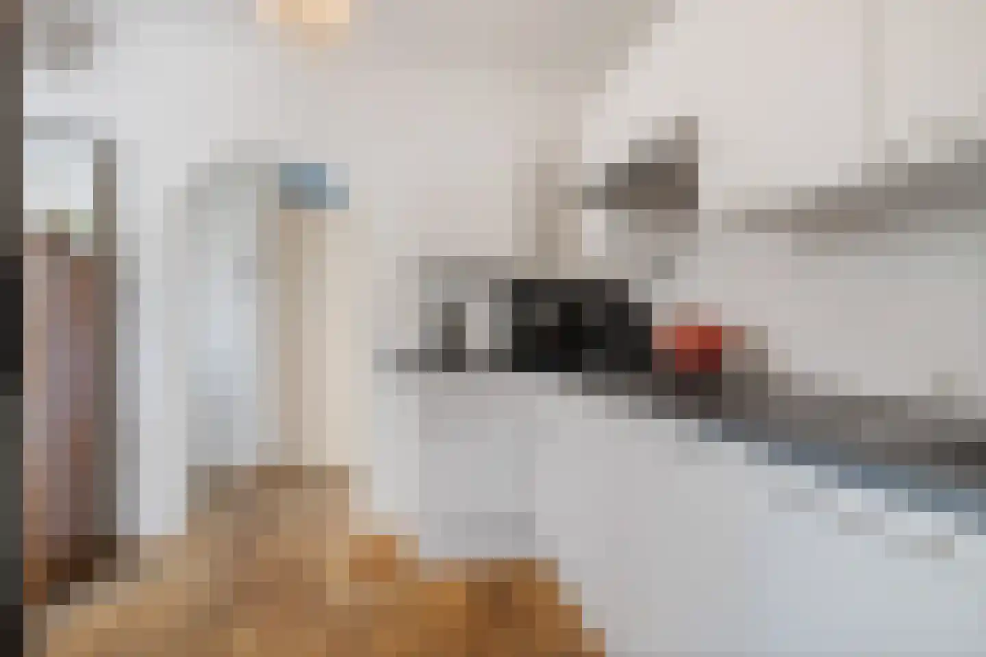 Bolksheuvel 7 Waalre thumbnail 10