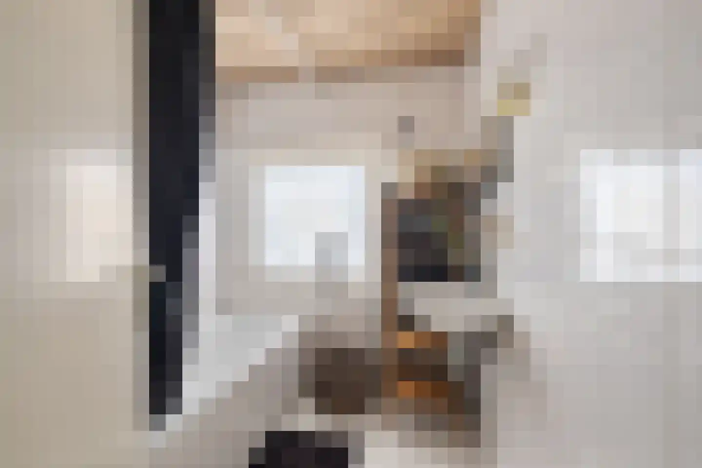 Bolksheuvel 7 Waalre thumbnail 21