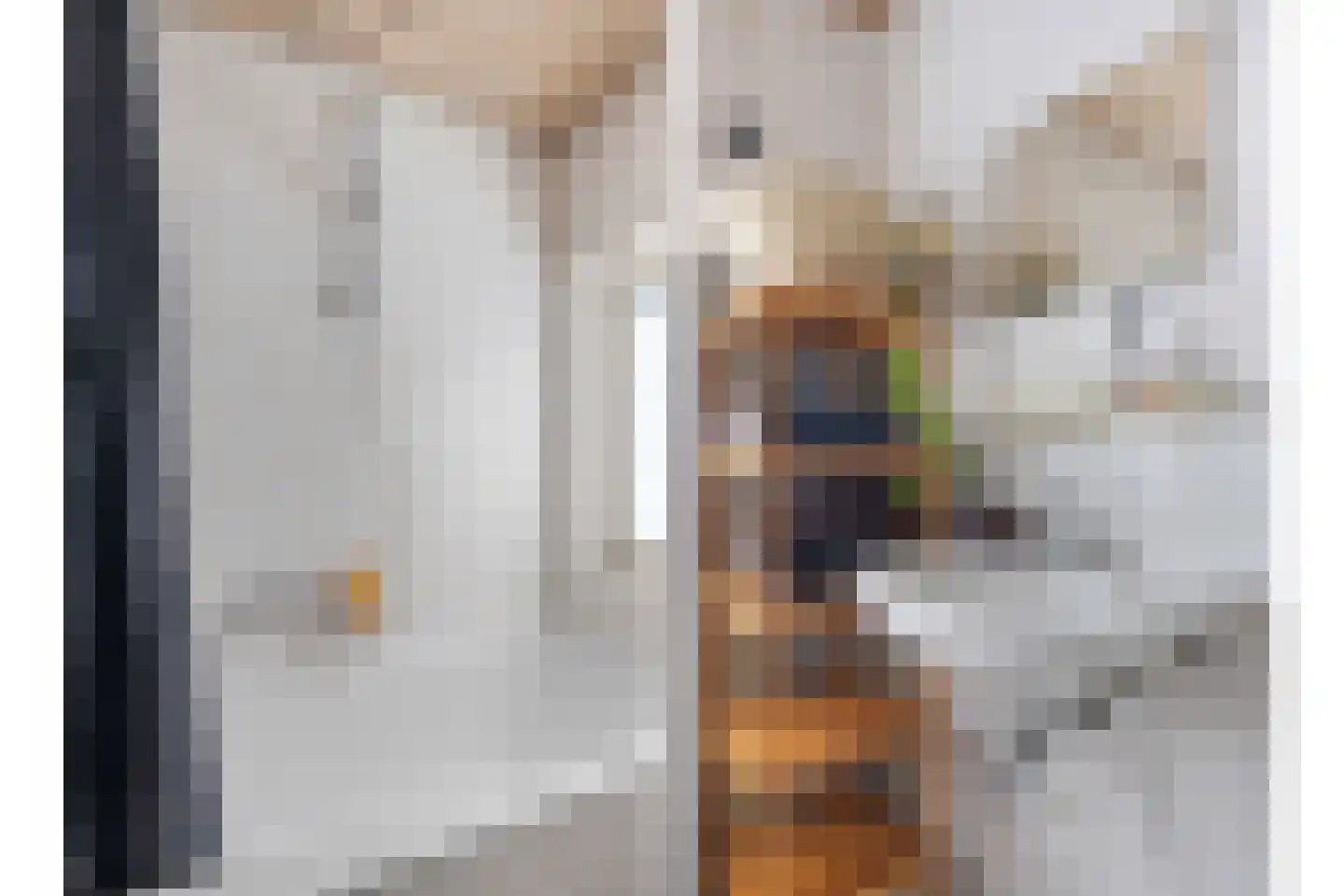 Bolksheuvel 7 Waalre thumbnail 22