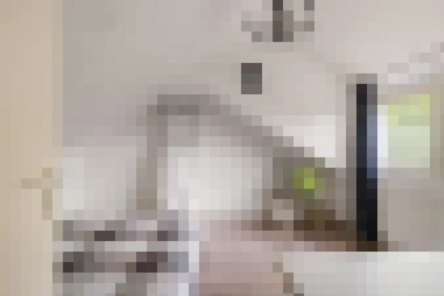 Bolksheuvel 7 Waalre thumbnail 25