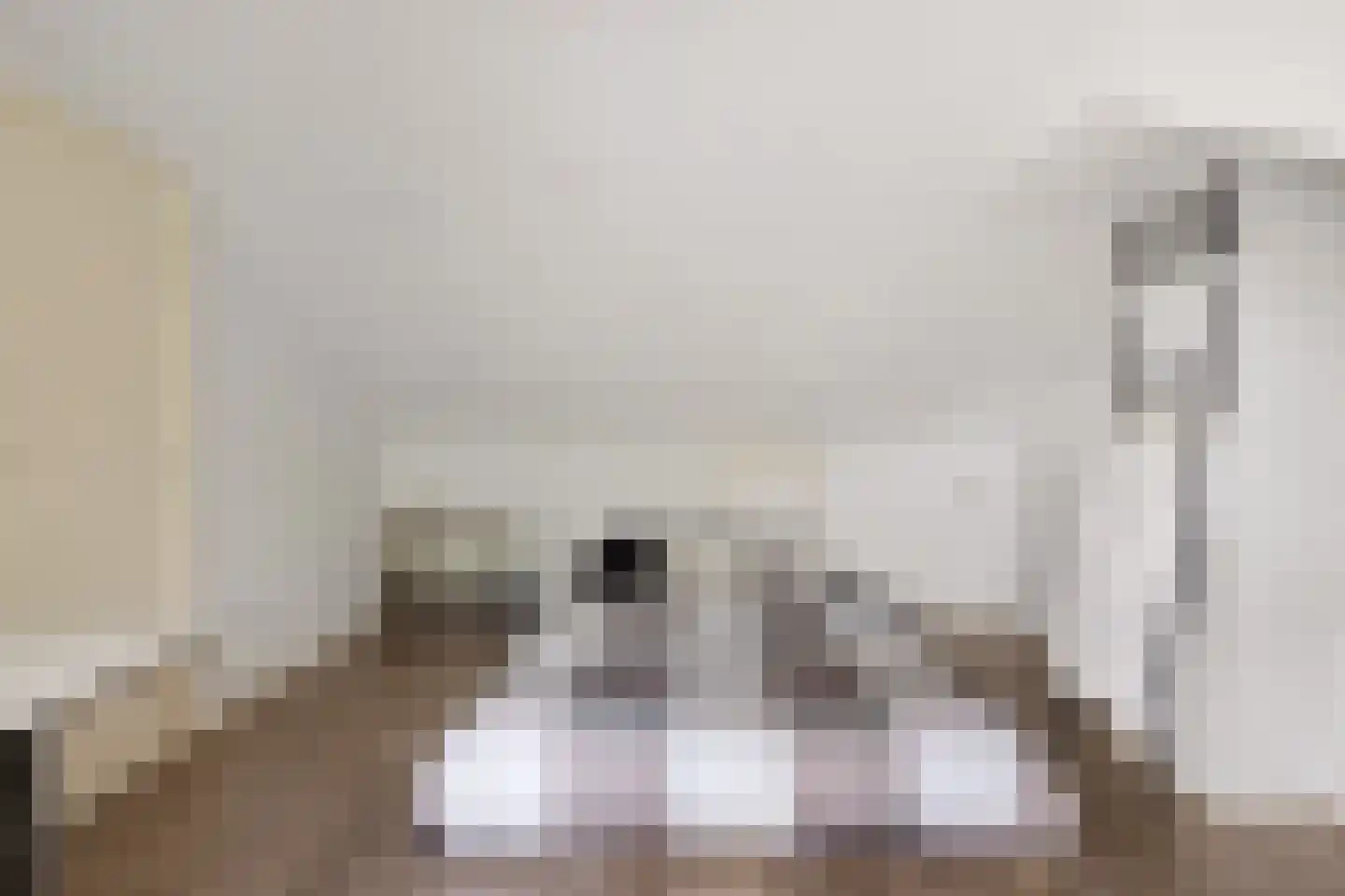 Bolksheuvel 7 Waalre thumbnail 26