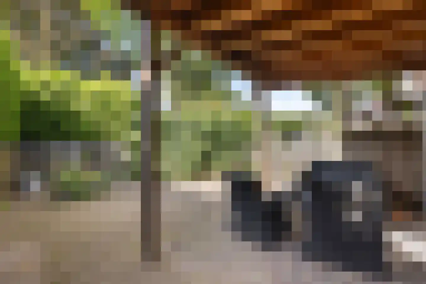 Bolksheuvel 7 Waalre thumbnail 29