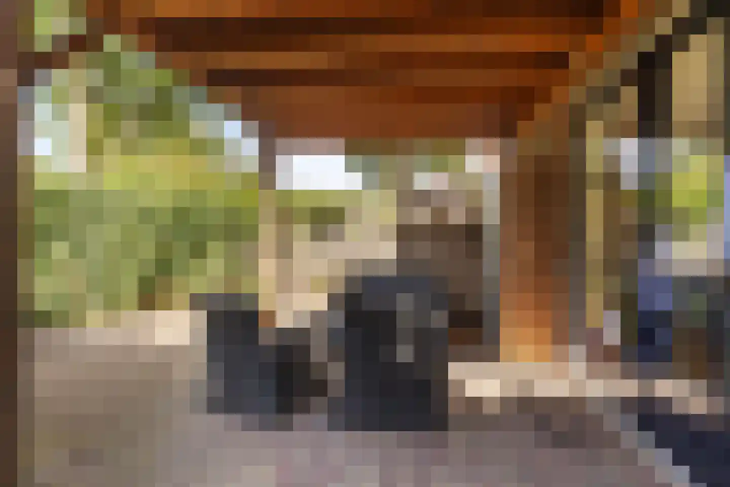 Bolksheuvel 7 Waalre thumbnail 31