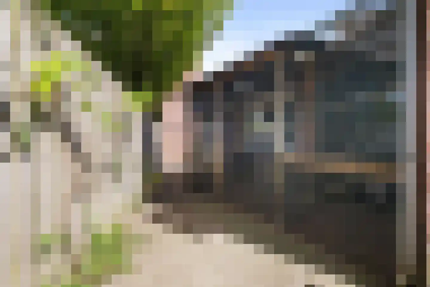 Bolksheuvel 7 Waalre thumbnail 32