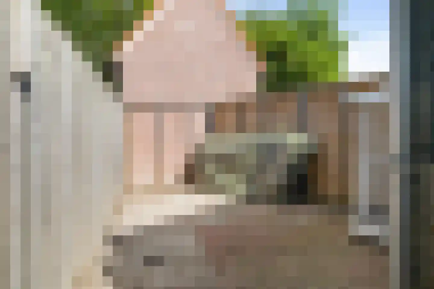 Bolksheuvel 7 Waalre thumbnail 33