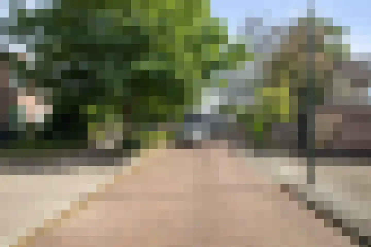 Bolksheuvel 7 Waalre thumbnail 4
