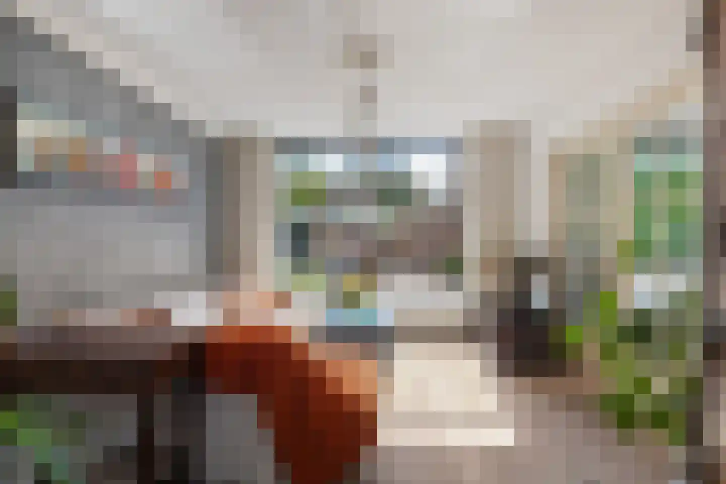 Bolksheuvel 7 Waalre thumbnail 5