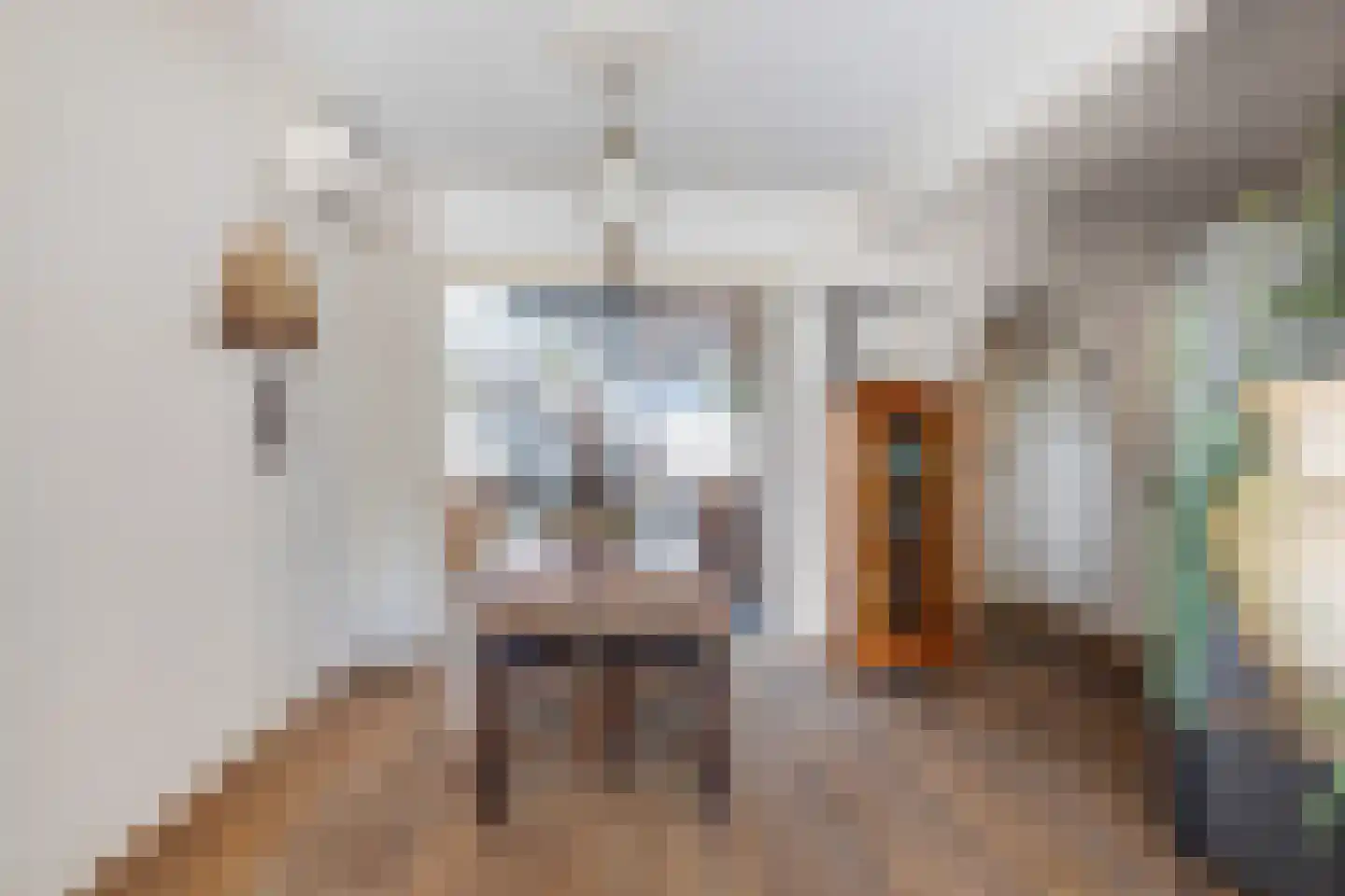 Bolksheuvel 7 Waalre thumbnail 7