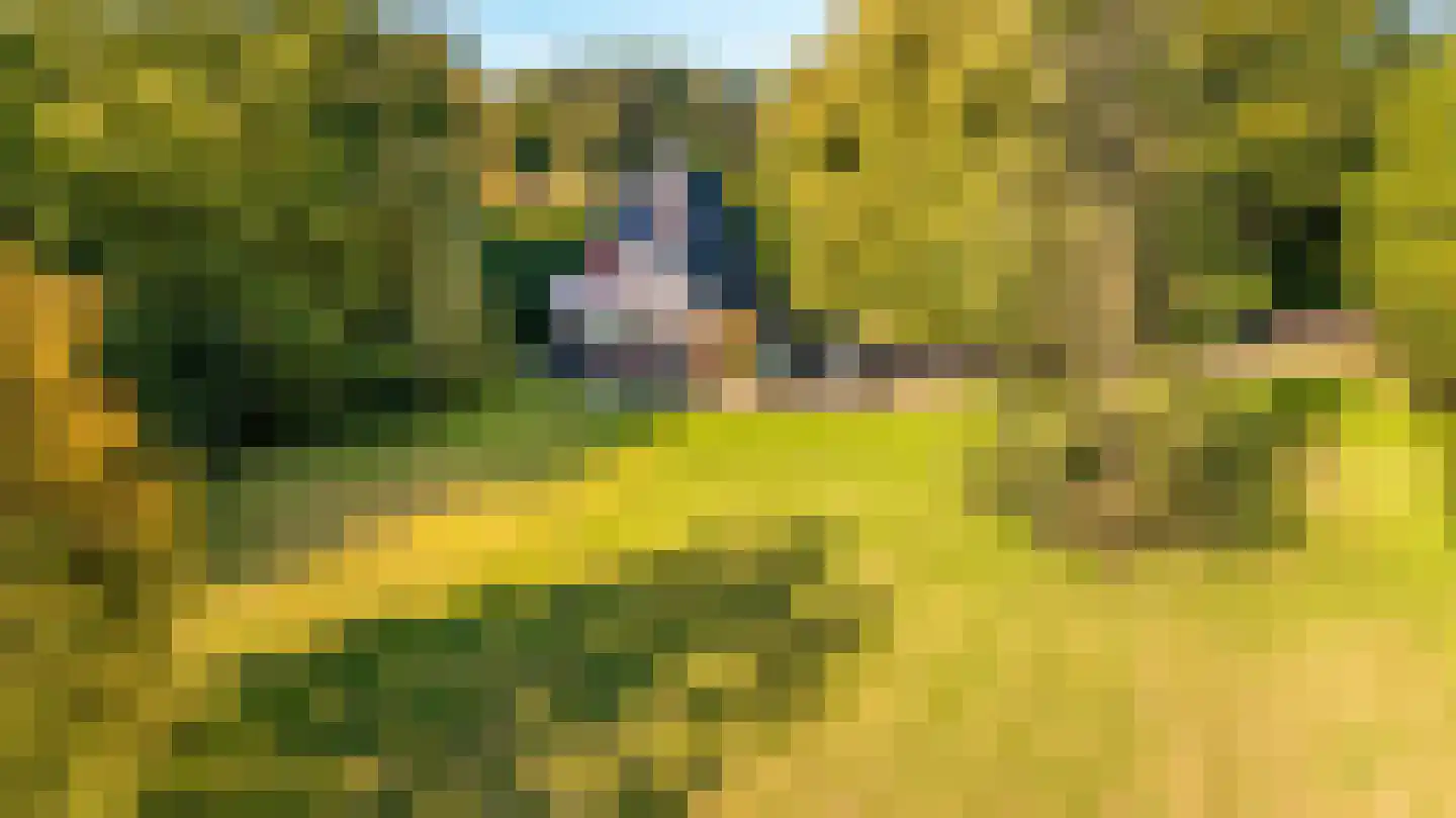 Bolkshoeksweg 16 Almelo