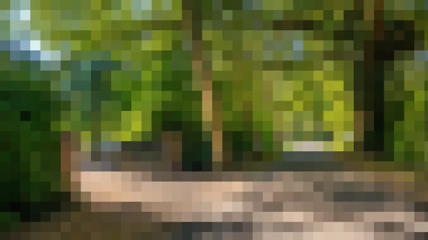 Bolkshoeksweg 16 Almelo thumbnail 14