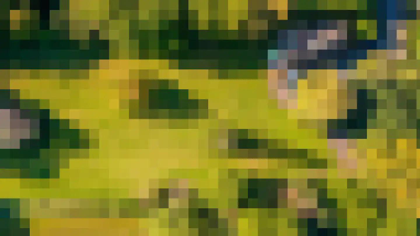 Bolkshoeksweg 16 Almelo thumbnail 15
