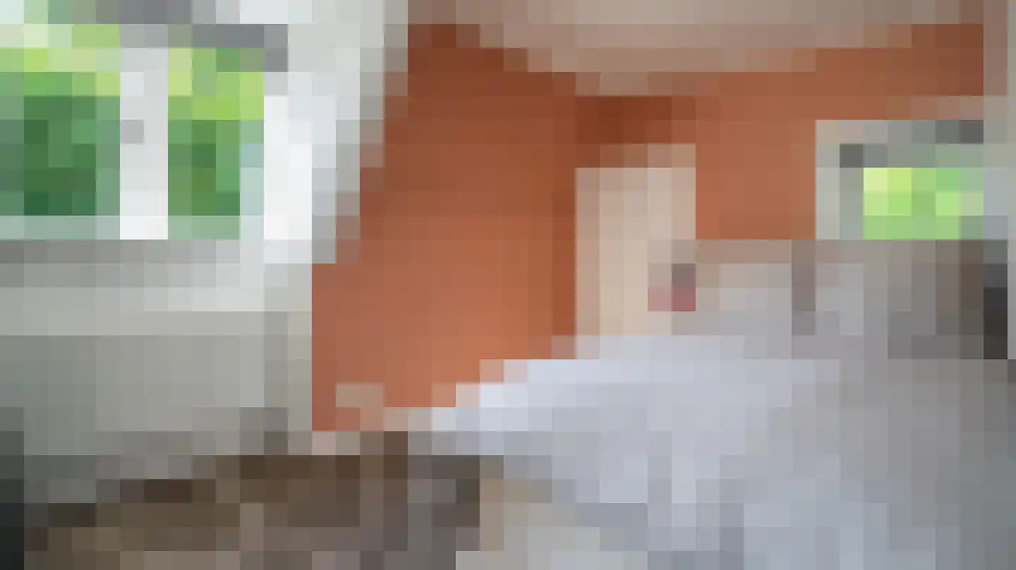 Bolkshoeksweg 16 Almelo thumbnail 9