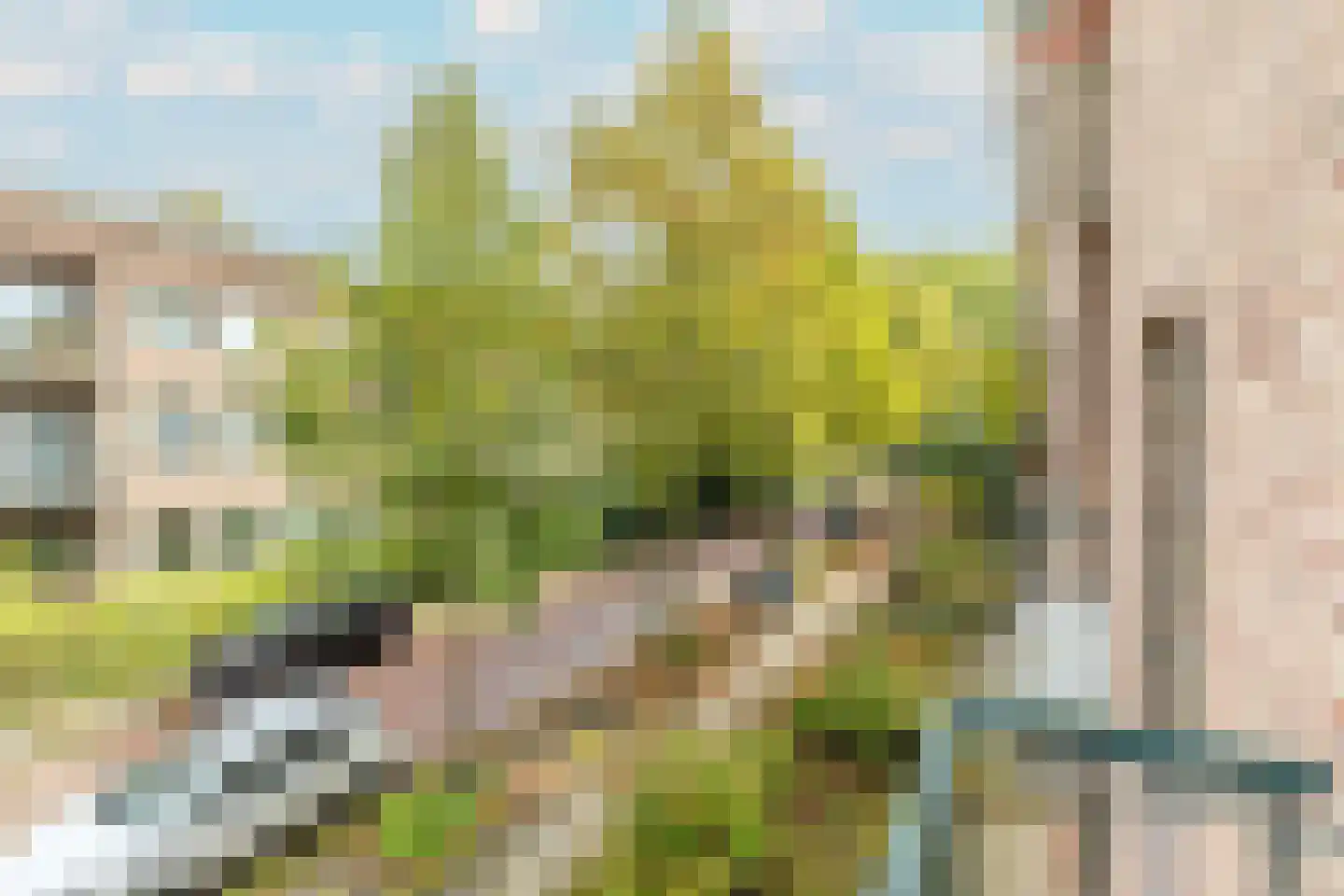 Bolkstraat 8 1 Amsterdam thumbnail 21
