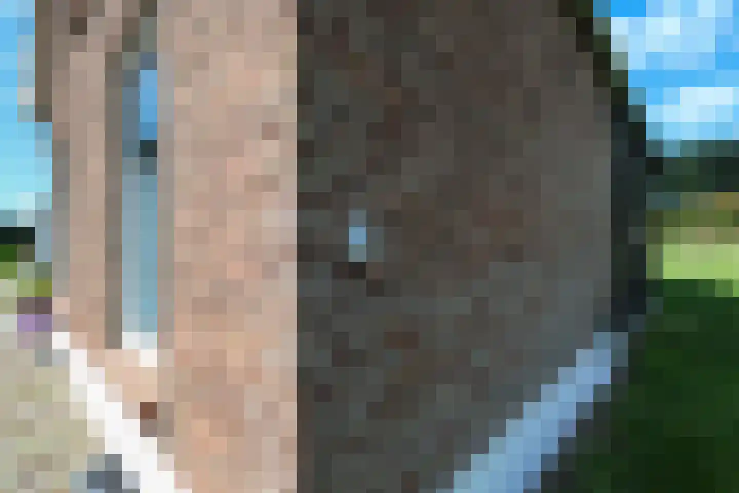 Bollaarsdijk 2 Oostvoorne thumbnail 10