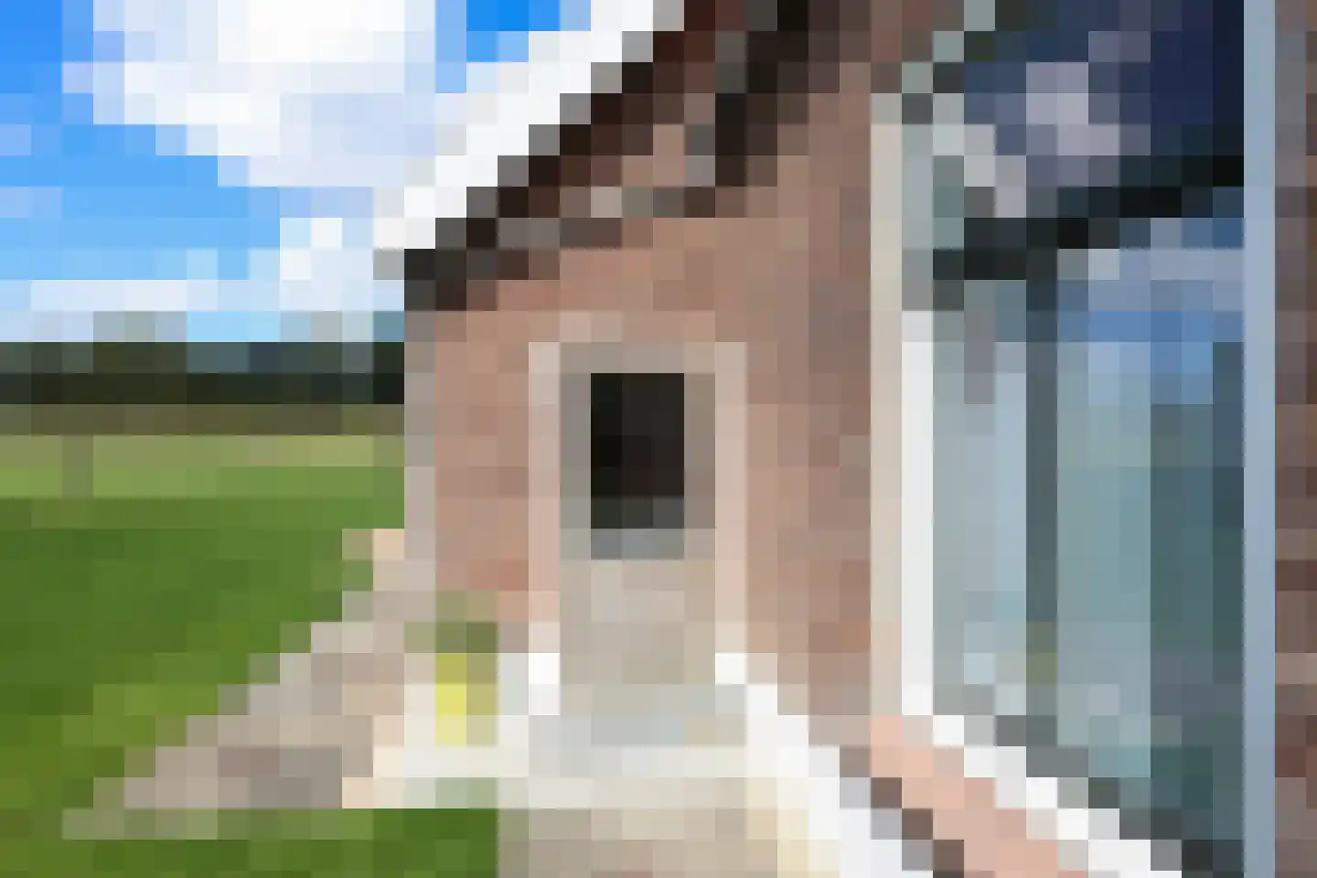 Bollaarsdijk 2 Oostvoorne thumbnail 12