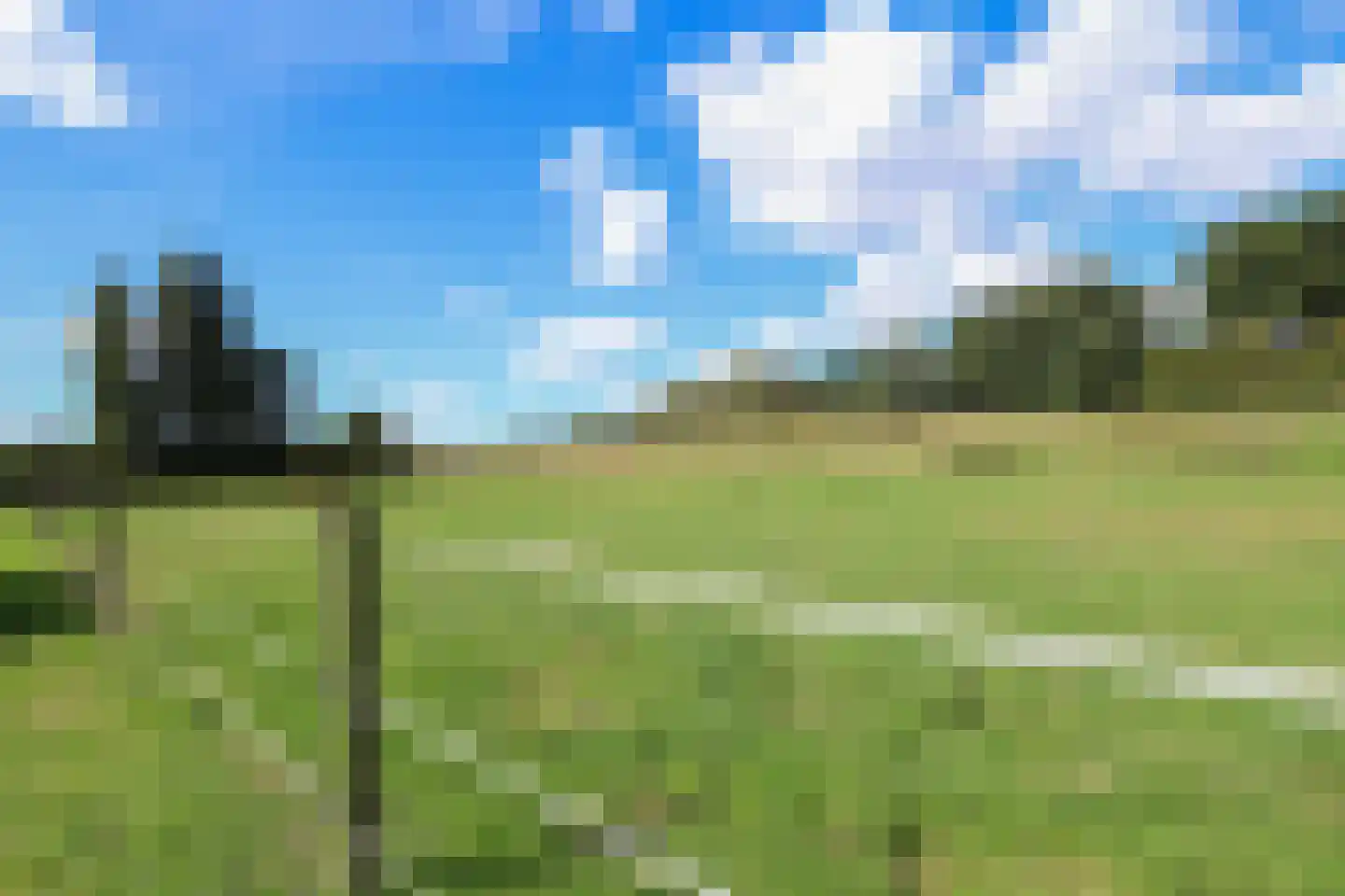 Bollaarsdijk 2 Oostvoorne thumbnail 24