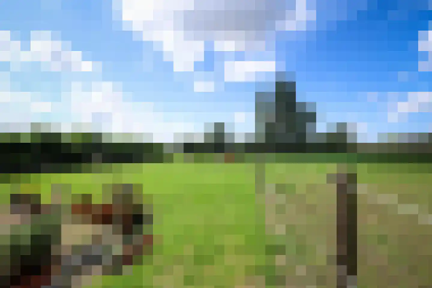 Bollaarsdijk 2 Oostvoorne thumbnail 25