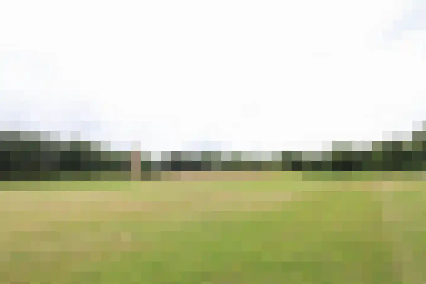 Bollaarsdijk 2 Oostvoorne thumbnail 35