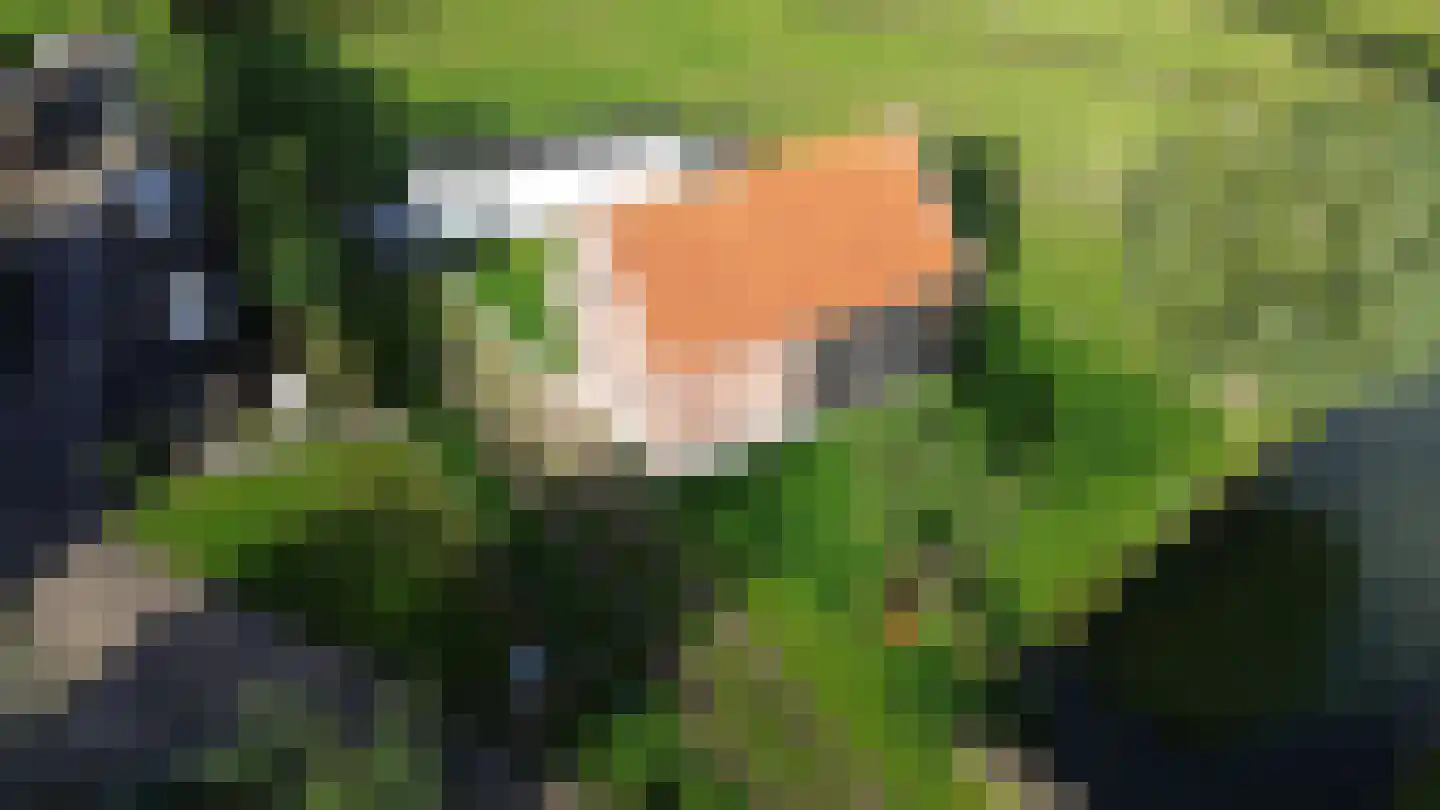 Bollaarsdijk 2 Oostvoorne thumbnail 5