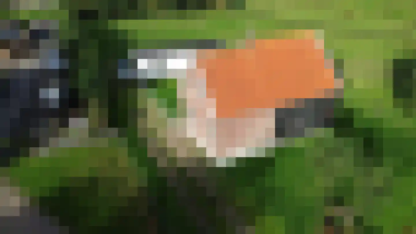 Bollaarsdijk 2 Oostvoorne thumbnail 6
