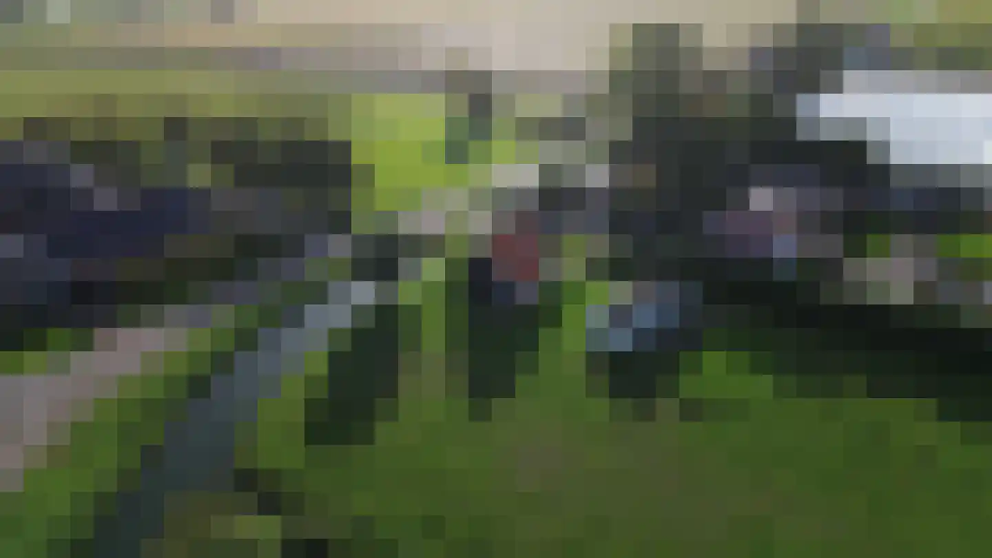 Bollaarsdijk 2 Oostvoorne thumbnail 8
