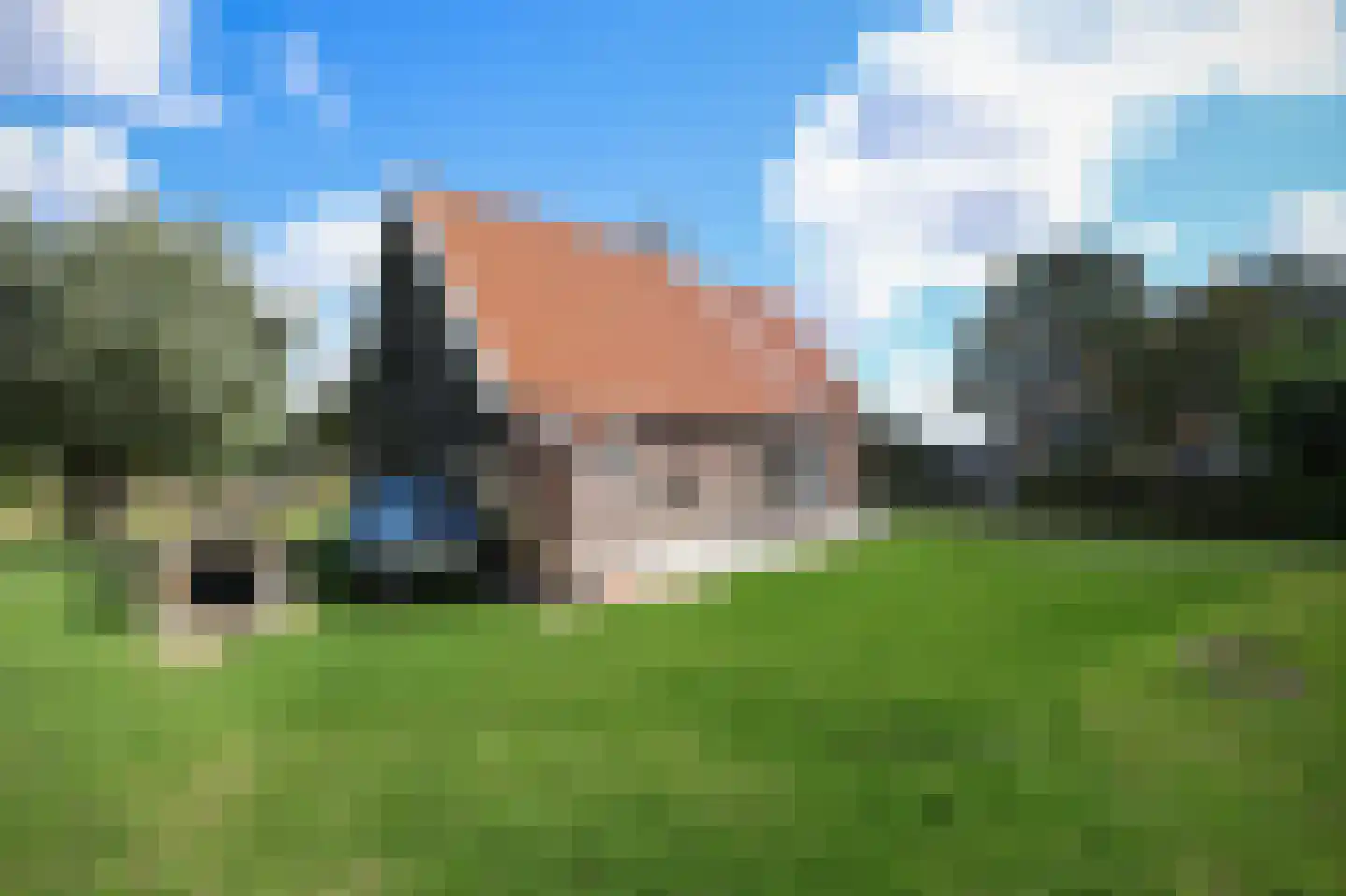 Bollaarsdijk 2 Oostvoorne thumbnail 9