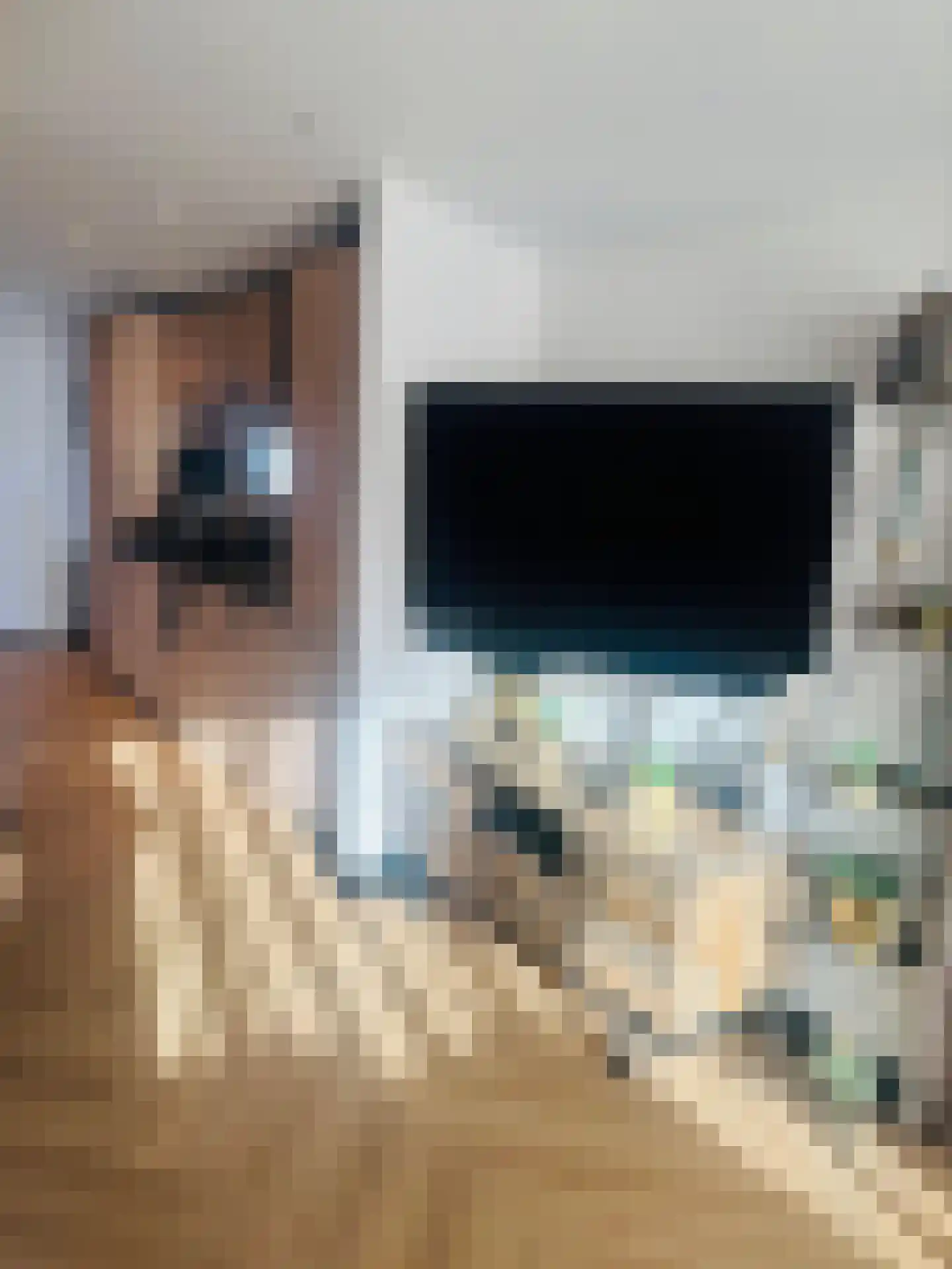 Bollaarsdijk 5 a Oostvoorne thumbnail 10
