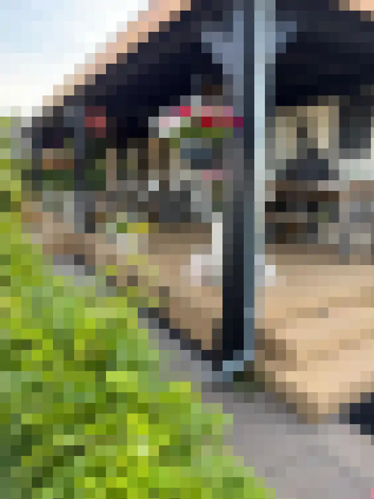 Bollaarsdijk 5 a Oostvoorne thumbnail 4