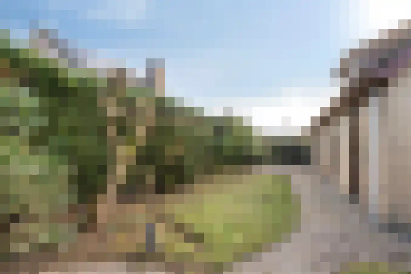 Bollardveen 11 Steenbergen thumbnail 43