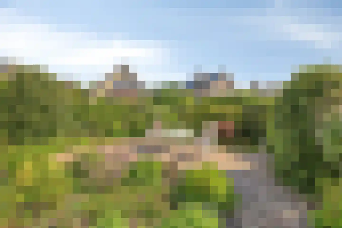 Bollardveen 6 Steenbergen thumbnail 30