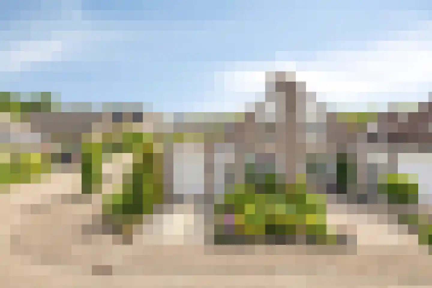 Bollardveen 6 Steenbergen thumbnail 36