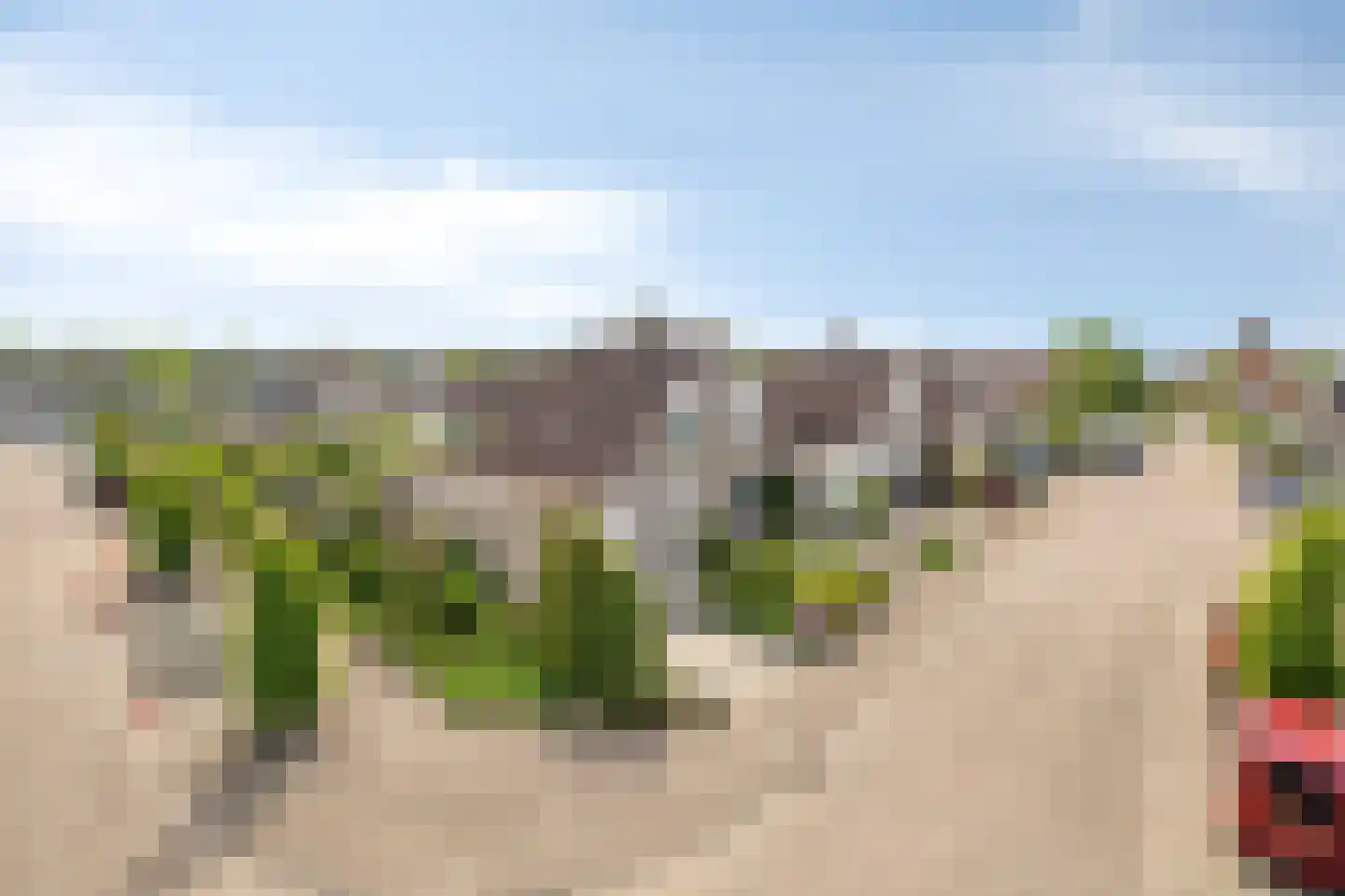 Bollardveen 6 Steenbergen thumbnail 37