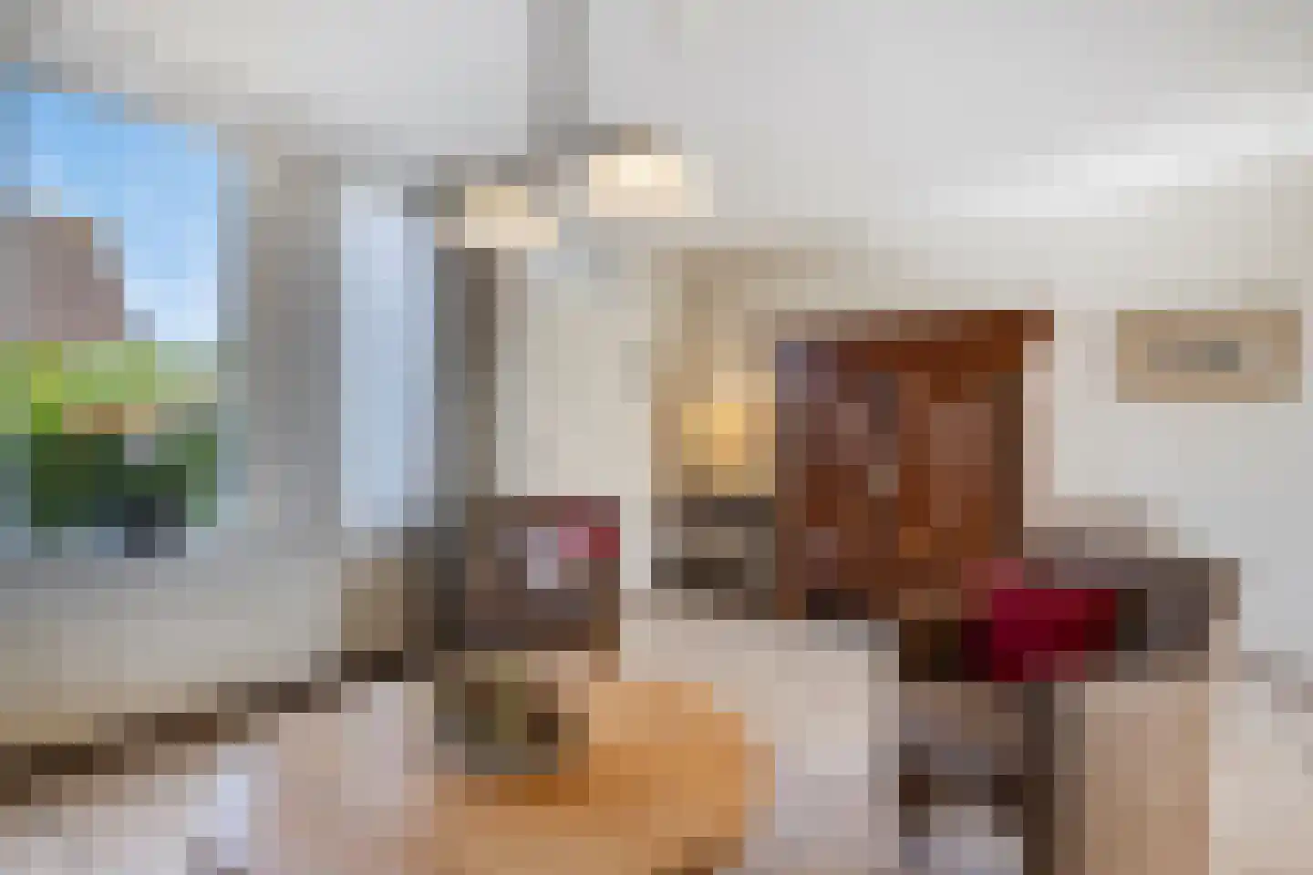 Bollardveen 6 Steenbergen thumbnail 7