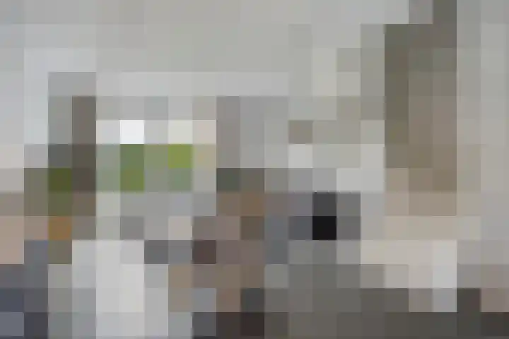 Bolle Akker 24 Boekel thumbnail 10
