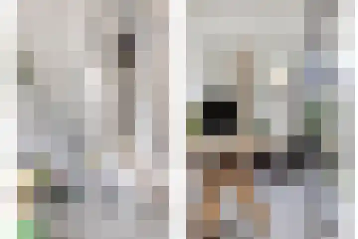 Bolle Akker 24 Boekel thumbnail 12