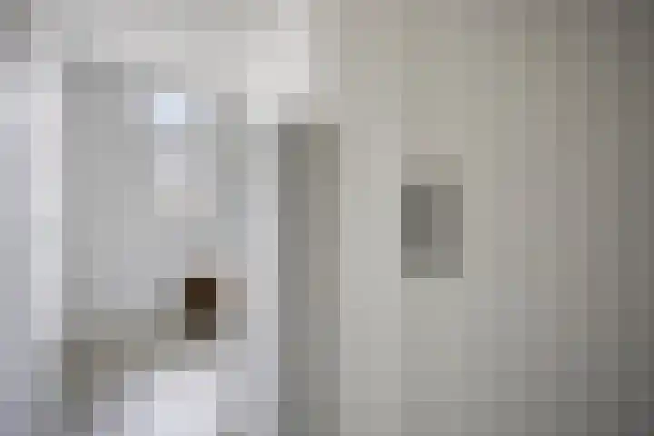 Bolle Akker 24 Boekel thumbnail 14