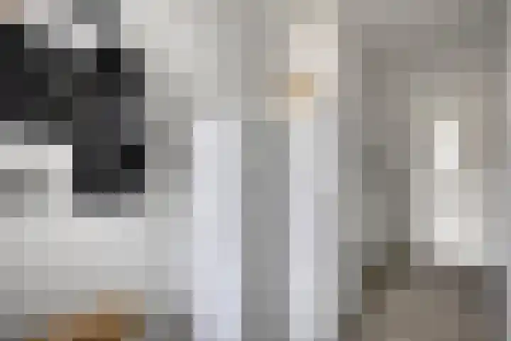 Bolle Akker 24 Boekel thumbnail 15