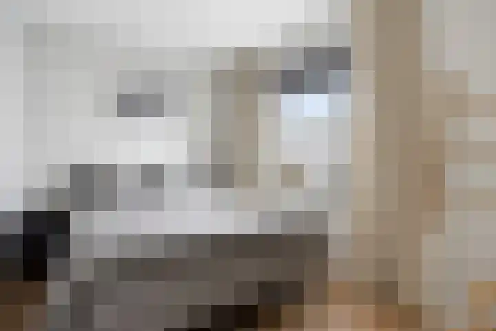 Bolle Akker 24 Boekel thumbnail 17