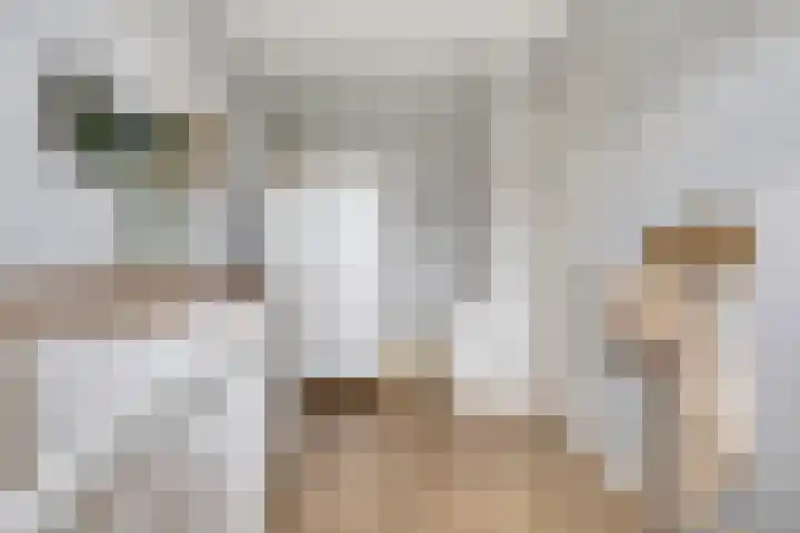 Bolle Akker 24 Boekel thumbnail 20