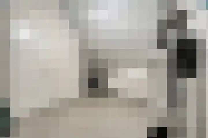 Bolle Akker 24 Boekel thumbnail 24
