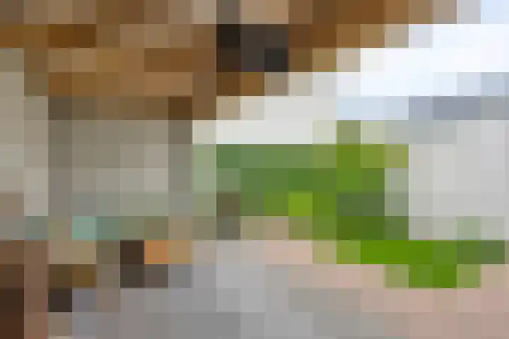 Bolle Akker 24 Boekel thumbnail 25