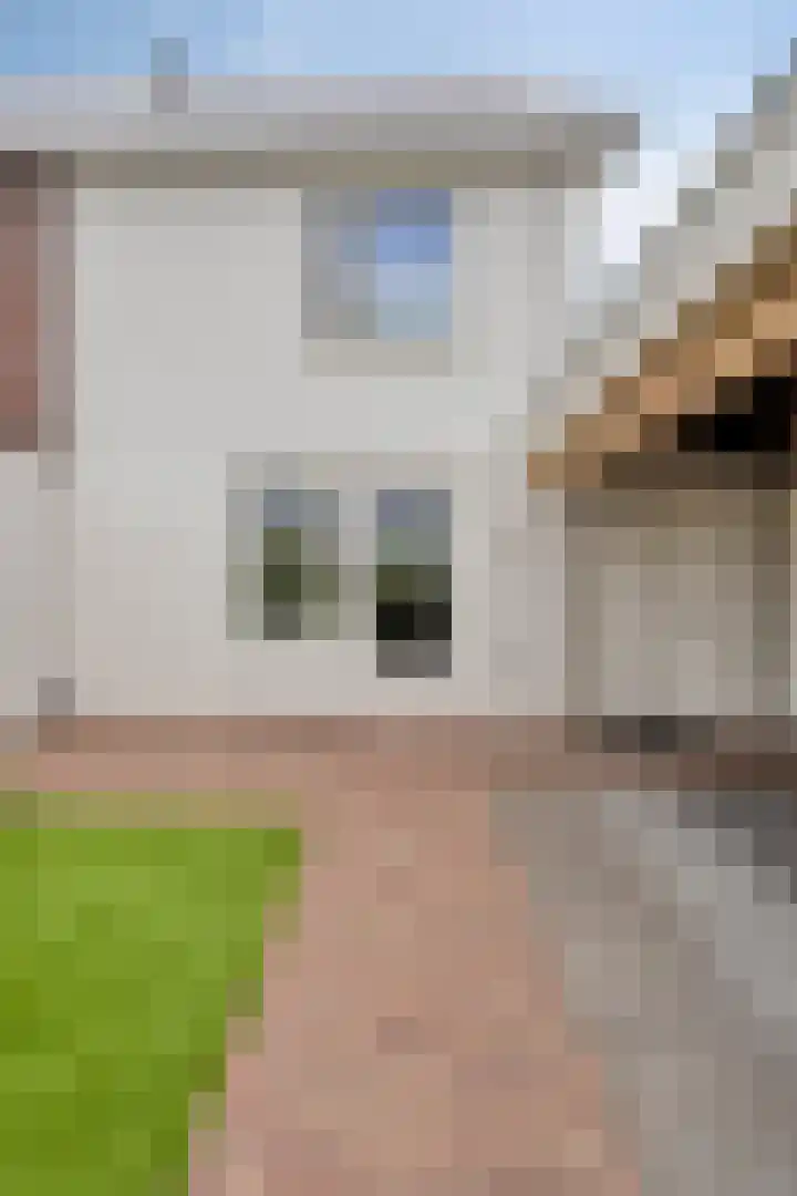 Bolle Akker 24 Boekel thumbnail 28