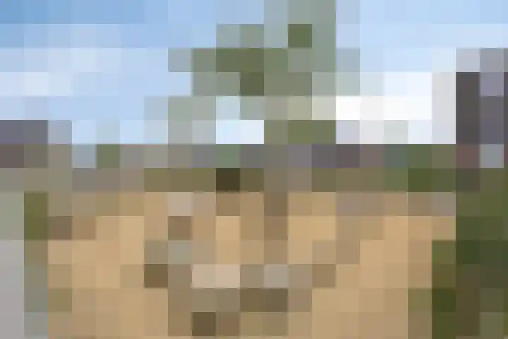 Bolle Akker 24 Boekel thumbnail 29