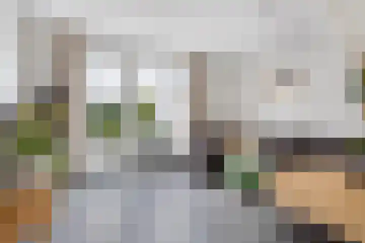 Bolle Akker 24 Boekel thumbnail 5