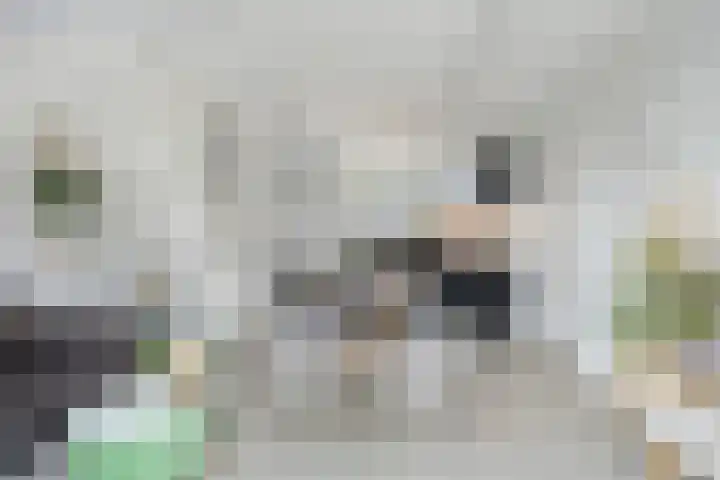 Bolle Akker 24 Boekel thumbnail 7