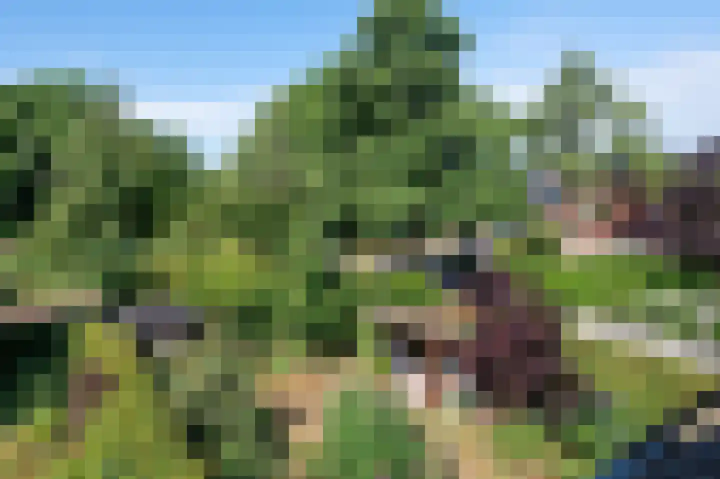Bolle Akkers 20 Sint-Oedenrode thumbnail 27