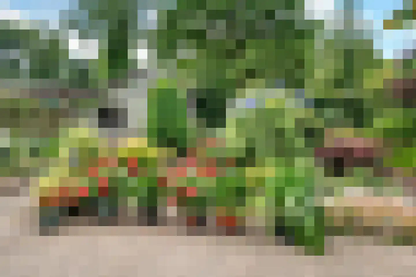 Bolle Akkers 20 Sint-Oedenrode thumbnail 4