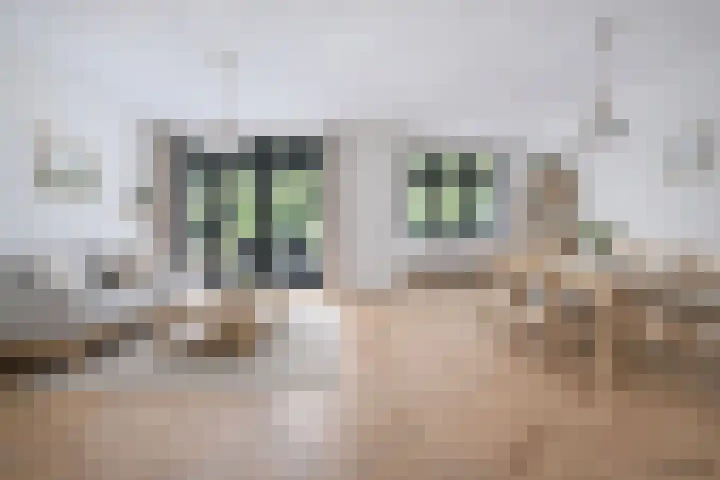 Bolle Akkers 20 Sint-Oedenrode thumbnail 7