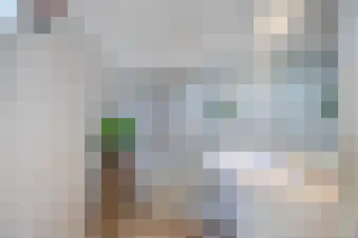 Bolle Akkers 8 Sint-Oedenrode thumbnail 31